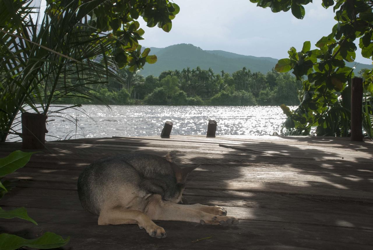 Eden Eco Village Kampot Exterior photo